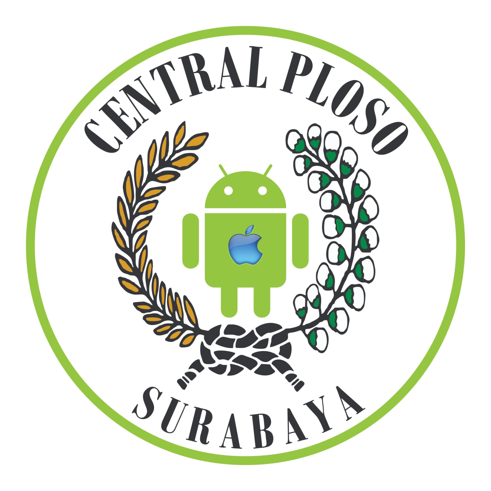 7b1ec740 7c08 e650 e078 8a5ed80e74a5 central ploso logo