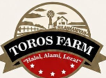 e9662c56 ee9a 7ded e246 bbd4eb2a9c80 toros farm logo
